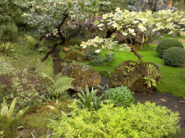 Jardin (3) Kahn sept 2011